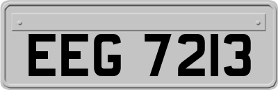 EEG7213