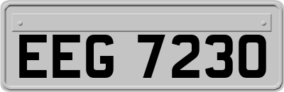EEG7230