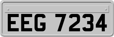 EEG7234