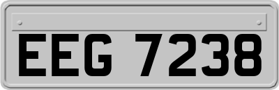 EEG7238