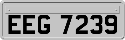 EEG7239