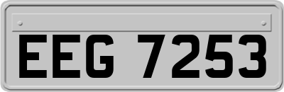 EEG7253
