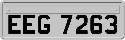 EEG7263
