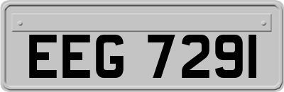 EEG7291