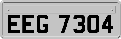 EEG7304