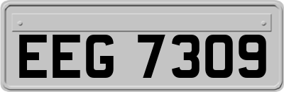 EEG7309