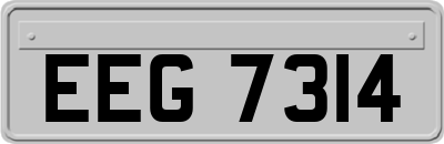 EEG7314