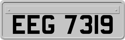 EEG7319