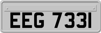 EEG7331