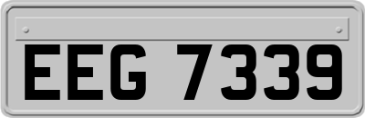 EEG7339