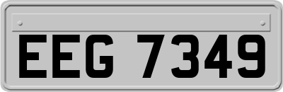 EEG7349