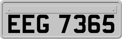 EEG7365