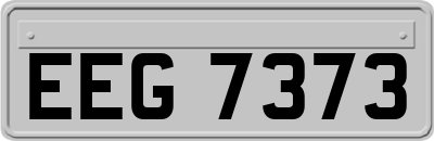 EEG7373