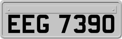 EEG7390