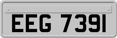 EEG7391
