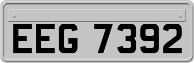 EEG7392