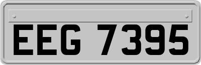 EEG7395