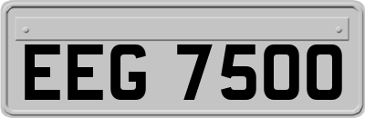 EEG7500
