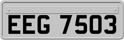 EEG7503