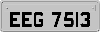 EEG7513