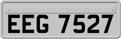 EEG7527