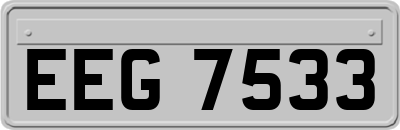 EEG7533