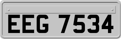 EEG7534