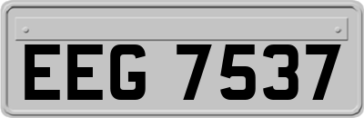 EEG7537