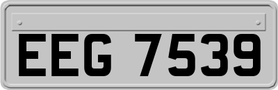 EEG7539