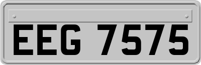 EEG7575