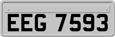 EEG7593