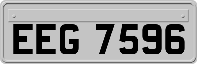 EEG7596