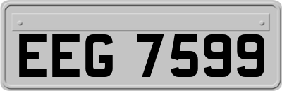 EEG7599