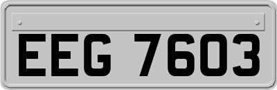 EEG7603