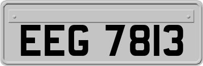 EEG7813
