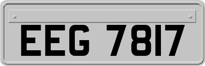 EEG7817