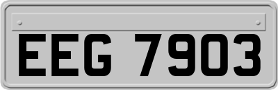 EEG7903