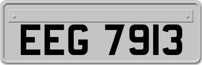 EEG7913