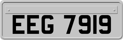 EEG7919