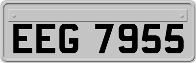 EEG7955