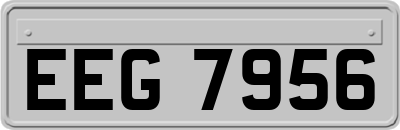 EEG7956