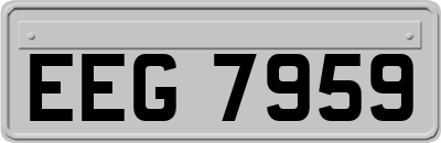 EEG7959
