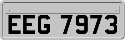 EEG7973