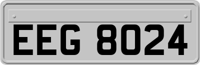 EEG8024