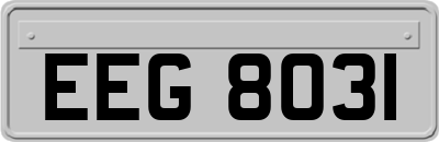 EEG8031