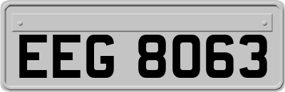 EEG8063