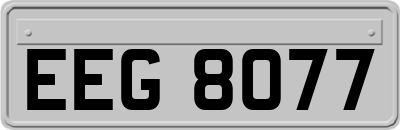 EEG8077