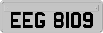 EEG8109