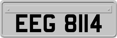 EEG8114