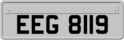 EEG8119